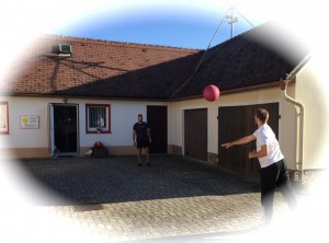 IMG_0369