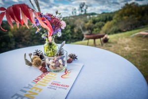 20171007-DSC06664